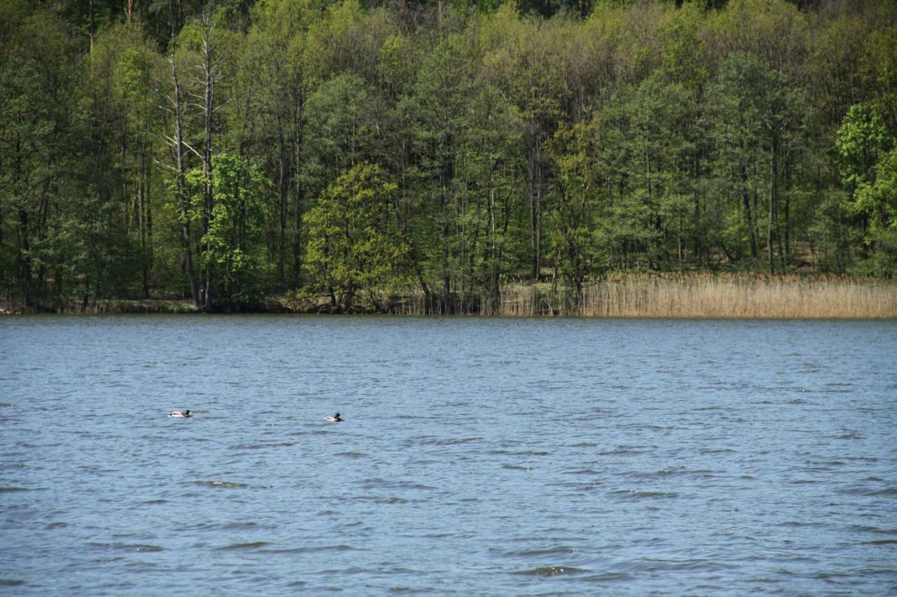 Lake View Apartamenty Brodnica  Exteriér fotografie